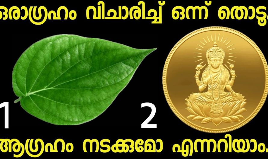 മനസ്സ് പറയുന്ന ഒരു ചിത്രം തൊടൂ..നിങ്ങൾക്ക് വരാൻ പോകുന്ന ഭാഗ്യങ്ങൾ അറിയാം.