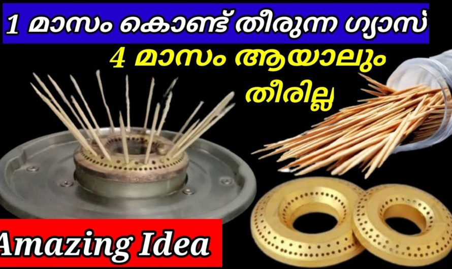 ശ്ശോ!ഇതുവരെ ഇങ്ങനെ ചെയ്യാൻ തോന്നിയില്ലല്ലോ