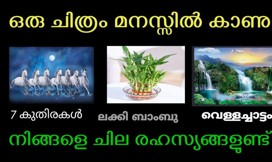 ഒരു ചിത്രം മനസ്സിൽ കാണു നിങ്ങളെപ്പറ്റി ഒരു വലിയ രഹസ്യം അറിയാം