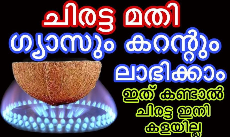 ചിരട്ട മതി ഗ്യാസും കറന്റും ലാഭിക്കാം ഇത് കണ്ടാൽ ചിരട്ട ഇനി കളയില്ല