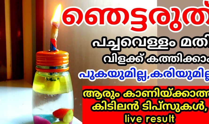 കണ്ണ് തള്ളുന്ന ചില ടിപ്‌സുകൾ ഇത് കണ്ടാൽ ആരുമൊന്ന് ഞെട്ടും തീർച്ച