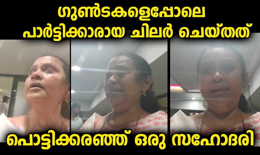 തട്ടുകടയ്ക്ക് ലൈസൻസില്ല എന്ന് പറഞ്ഞുകൊണ്ട് സഹോദരിക്ക് നേരിടേണ്ടി വന്നത്…
