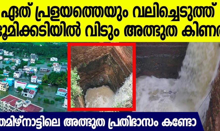 ഒരു ഡാം പൊട്ടിവന്നാലും വലിച്ചെടുക്കുന്ന തമിഴ്നാട്ടിലെ അത്ഭുത കിണര്‍ കണ്ടോ