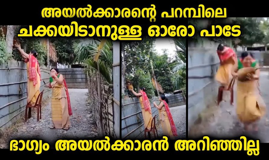 അയൽക്കാരികൾ അടുത്ത വീട്ടിലെ സ്ഥലത്തു ഒപ്പിച്ച പണി