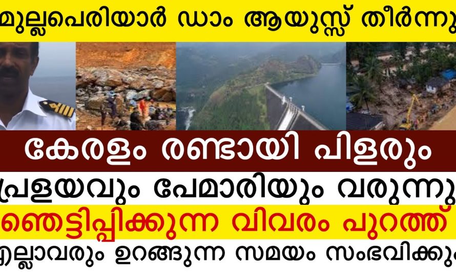 മുല്ലപെരിയാർ ഡാം ആയുസ്സ് തീർന്നു🥹 പ്രളയവും പേമാരിയും വരുന്നു 😳 ഞെട്ടിപികുന്ന വിവരം
