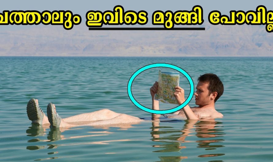 പ്രകൃതിയിലെ ചില രസകരമായ പ്രതിഭാസങ്ങൾ