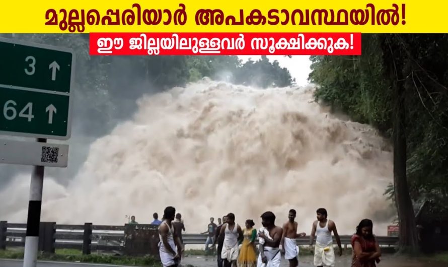 മുല്ലപ്പെരിയാർ ഡാം തകർച്ചയിലേക്ക്?