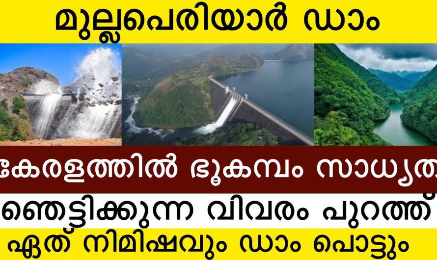 മുല്ലപെരിയാർ ഡാം ഏത് നിമിഷവും🥹 ഞെട്ടിക്കുന്ന വിവരം😳