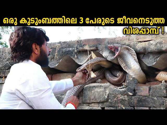 ഇതിനെ കണ്ടാൽ ഓടിക്കോണം!!😱