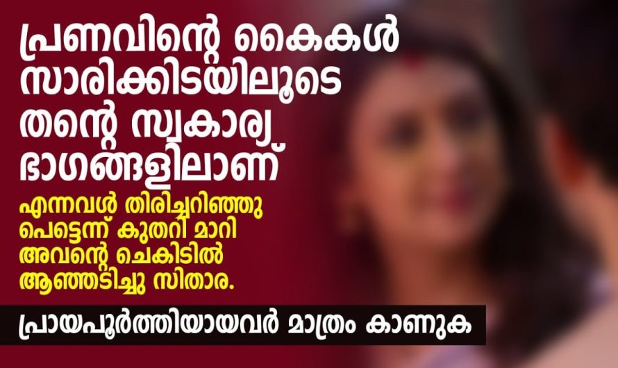 പ്രണവിന്റെ കൈകൾ സാരി..ക്കിട..യിലൂടെ തന്റെ സ്വ..കാ..ര്യ ഭാഗങ്ങളിലാണ് എന്നവൾ തിരിച്ചറിഞ്ഞു