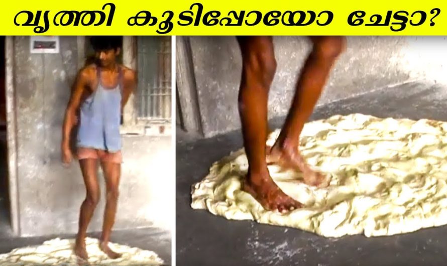ഭക്ഷണം കഴിച്ചോണ്ടു ഇത് കാണല്ലേ | വൃത്തിഹീനമായ ഭക്ഷണം ഉണ്ടാക്കുന്ന ചില സംഭവങ്ങൾ