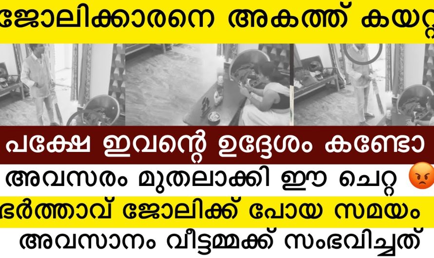 വേലക്കാരനെ വീട്ടിൽ കയറ്റിയ വീട്ടമ്മയെ ഈ ചെറ്റ ചെയ്തത് കണ്ടോ 😡