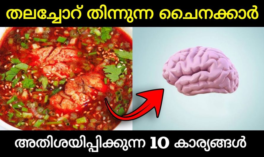 ചൈനയിൽ മാത്രം ഉള്ള 10 കാര്യങ്ങൾ 😱
