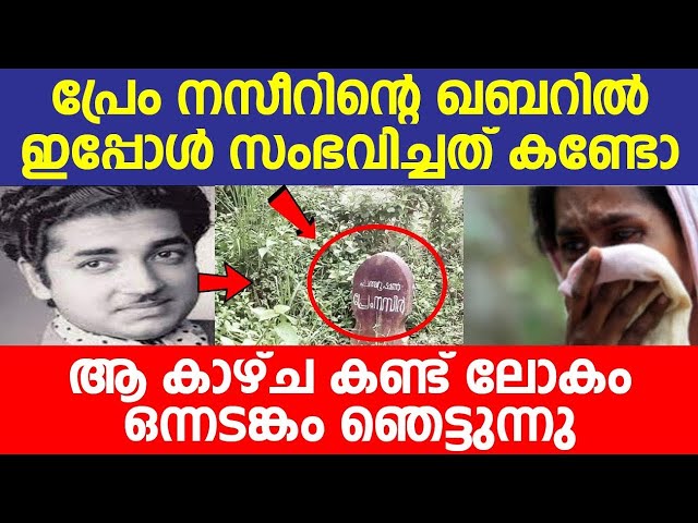 സിനിമ നടനായിരുന്ന പ്രേം നസീറിന്റെ ഖബറിൽ ഇപ്പോൾ സംഭവിച്ചത് കണ്ടോ