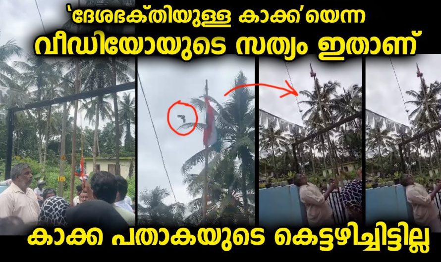 വൈറലാവുന്ന വീഡിയോയുടെ സത്യം ഈ വിഡിയോകൾ കണ്ടാൽ മനസ്സിലാകും…