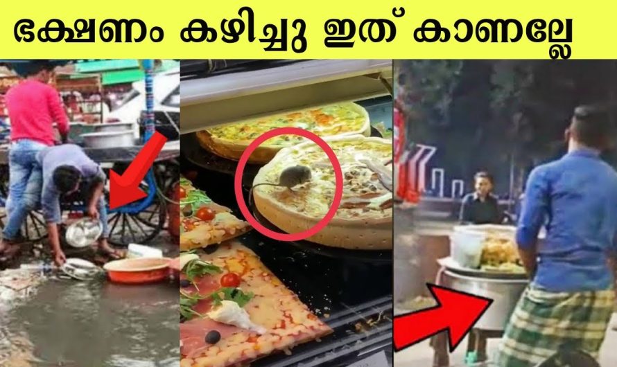 ഭക്ഷണം കഴിച്ചോണ്ടു ഇത് കാണല്ലേ | വൃത്തിഹീനമായ ഭക്ഷണം ഉണ്ടാക്കുന്ന ചില സംഭവങ്ങൾ