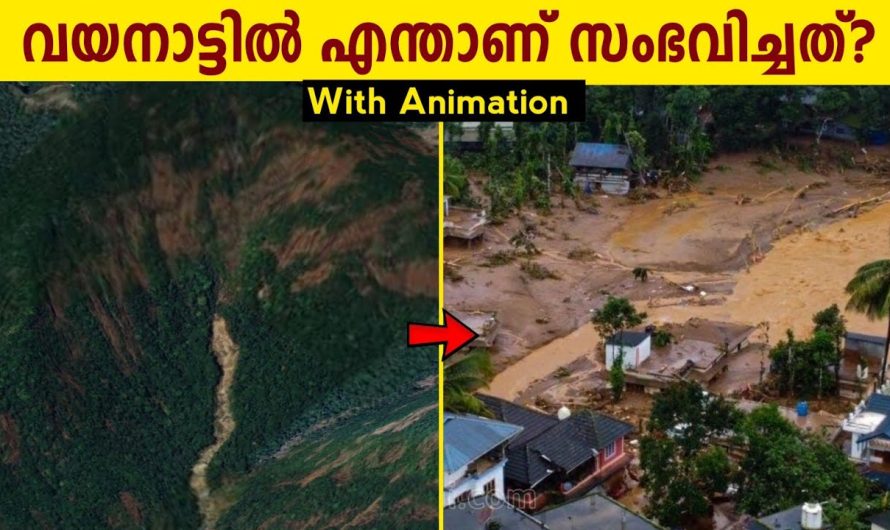 വയനാട്ടിൽ എന്താണ് സംഭവിച്ചത്??🥺