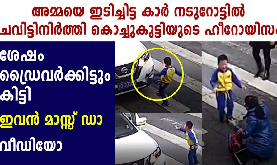 അമ്മയെ റോട്ടിൽ  ഇടിച്ചിട്ട കാറുകാരോട് ഈ കുട്ടി ചെയ്തത് കണ്ടോ..?