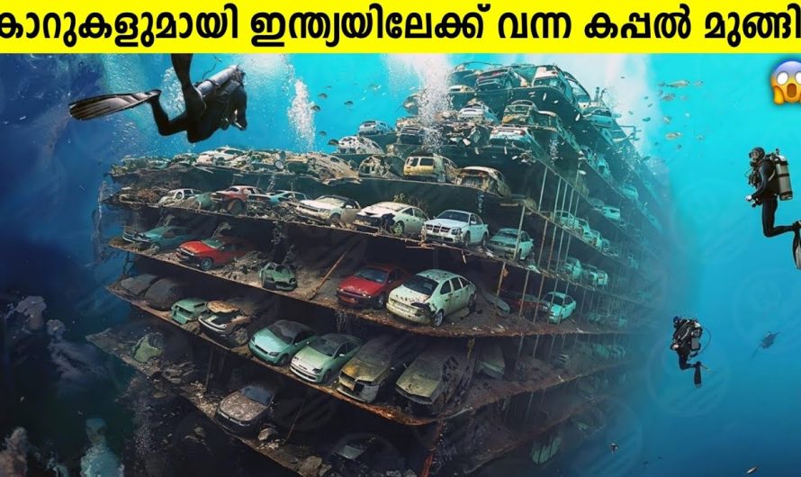 3000 കോടി വില വരുന്ന കാറുകളുമായി പോയ കപ്പൽ കടലിൽ മുങ്ങി!😱