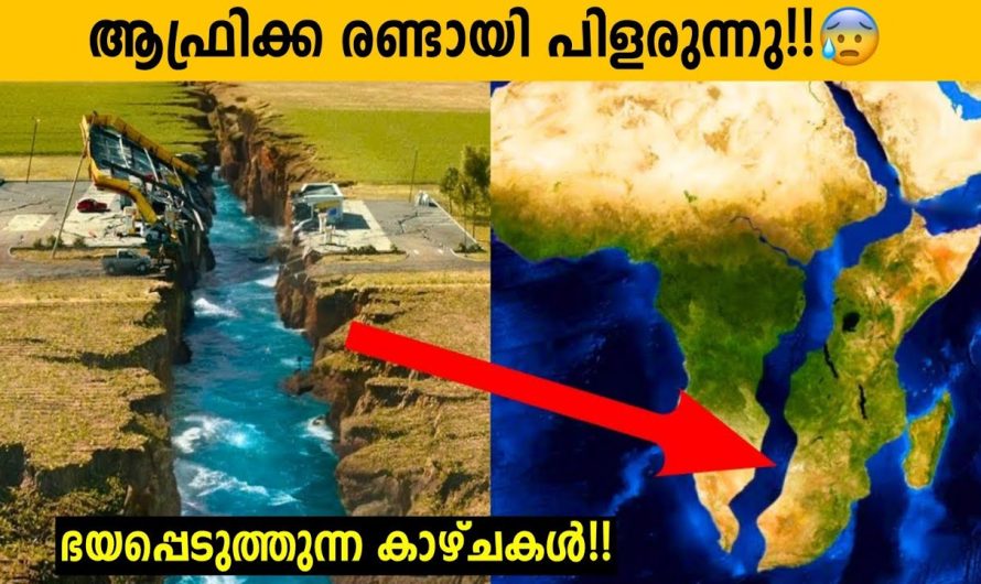 ആഫ്രിക്ക രണ്ടായി പിളരുന്നു!😱 ആഫ്രിക്കക്ക് സംഭവിക്കുന്നതെന്ത്?!