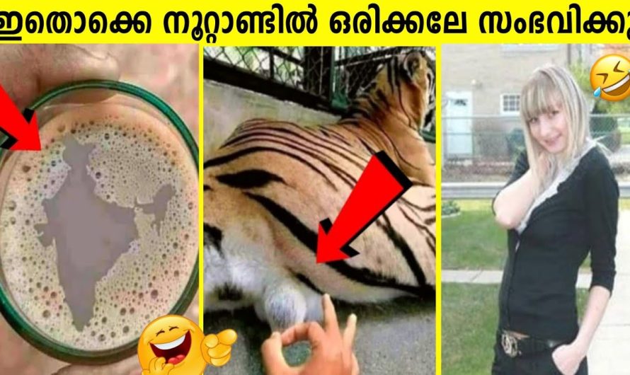 ഇതൊക്കെ ലക്ഷത്തിൽ ഒന്നേ കാണൂ