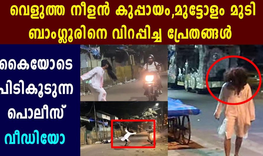 ബാംഗ്ലൂരിനെ വിറപ്പിച്ച പ്രേതങ്ങൾ വീഡിയോ ഒന്ന് കണ്ടു നോക്കൂ…