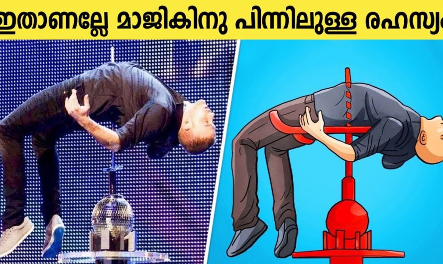 ആളുകളെ അതിശയിപ്പിച്ച മാജികിനു പിന്നിൽ മറഞ്ഞുകിടക്കുന്ന രഹസ്യങ്ങൾ