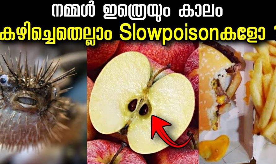 നമ്മൾ ഇത്രെയും നാൾ കഴിച്ച 5 Slow Poison ആഹാരങ്ങൾ