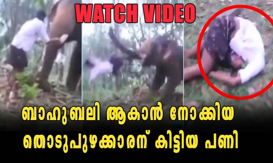 ബാഹുബലി ആകാന്‍ നോക്കിയ തൊടുപുഴക്കാരന് കിട്ടിയ പണി