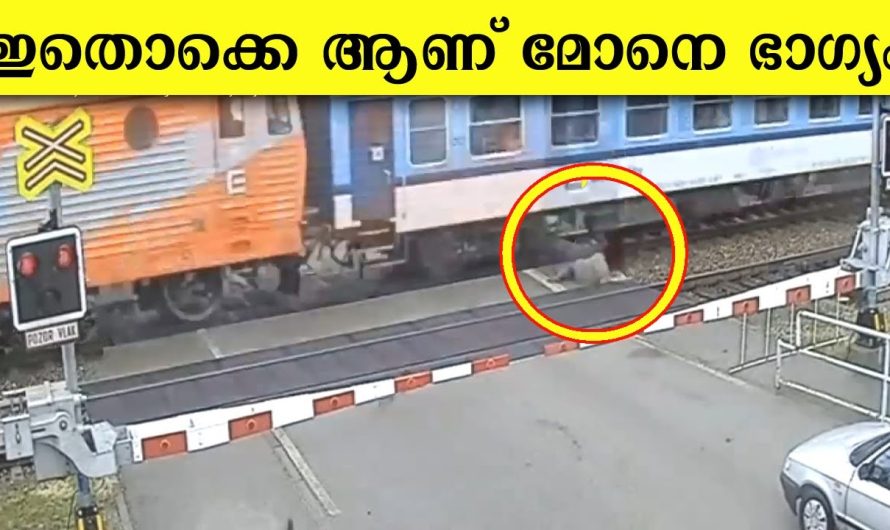 ലോകത്തിൽ ഏറ്റവും ഭാഗ്യം ലഭിച്ചിട്ടുള്ള ആളുകൾ