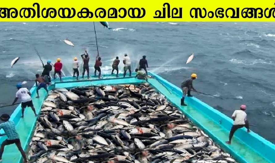 ലോകത്തിൽ നടന്ന അതിശയകരമായ ചില സംഭവങ്ങൾ