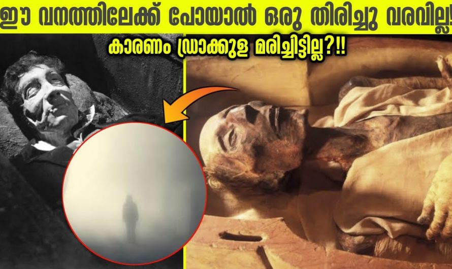 ഭൂമിയിലെ മറ്റൊരു ബർമുഡ ട്രയാംഗിൾ!