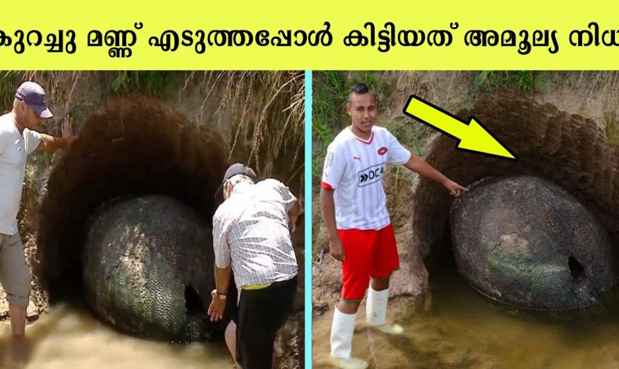 നഷ്ടപ്പെട്ടെന്ന് കരുതിയതും പിന്നിട് കണ്ടത്തിയതുമായ അമൂല്യ വസ്തുക്കൾ