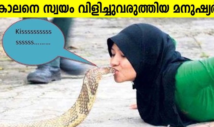 സ്വന്തം മരണത്തെ സ്വയം വിളിച്ചു വരുത്തിയവർ