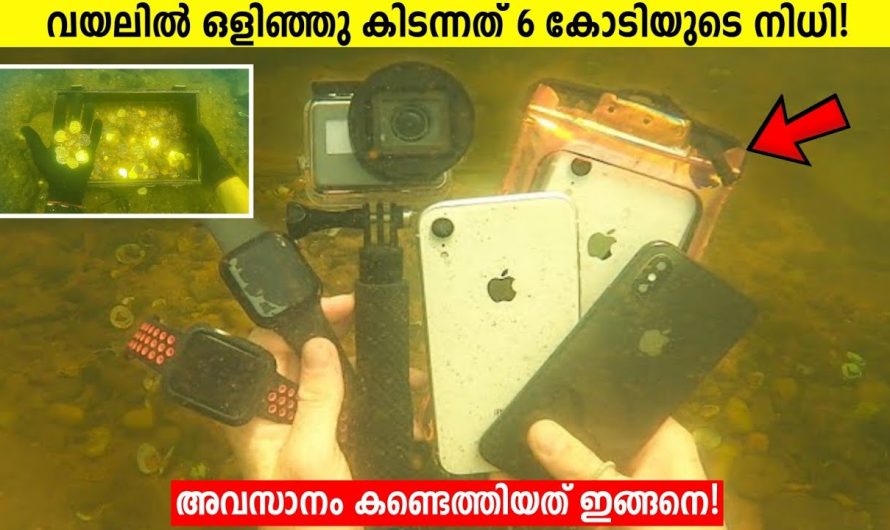 പറമ്പിൽ നിന്നും കിട്ടിയത് 6 കോടിയുടെ നിധി!😱💰