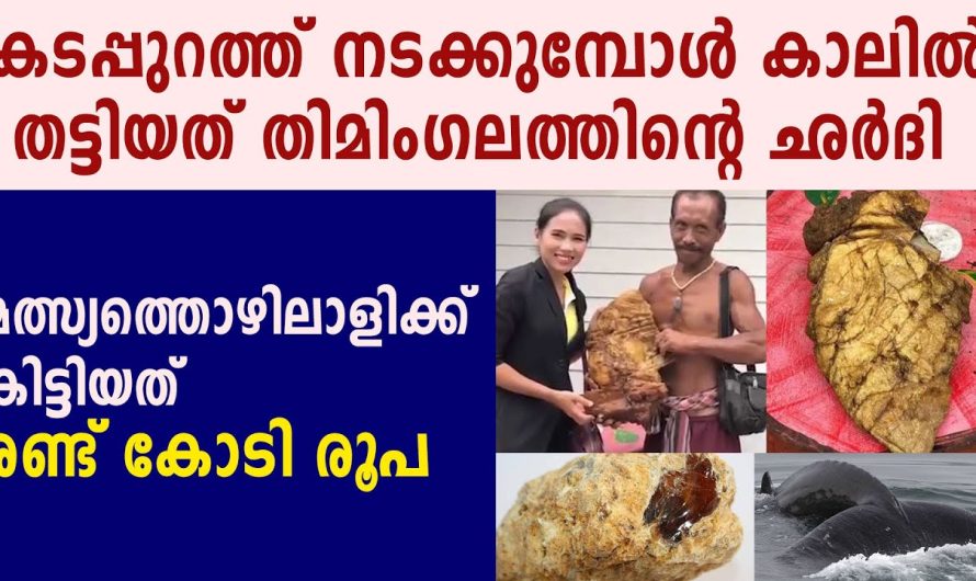 ഈ മത്സ്യത്തൊഴിലാളിക്ക് കിട്ടിയത് രണ്ടു കോടി രൂപ