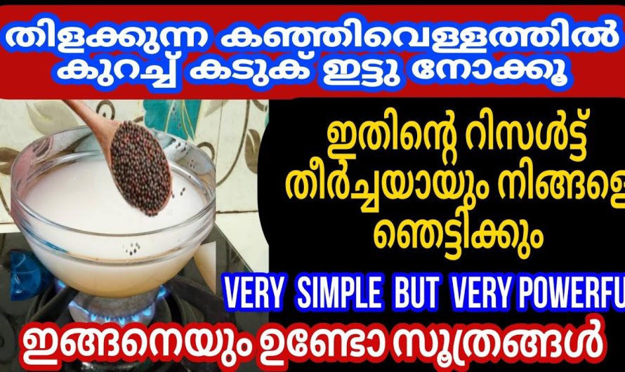 കഞ്ഞി വെള്ളവും കടുകും ഞെട്ടിച്ചു കളഞ്ഞു കിടിലൻ സൂത്രങ്ങൾ ഇതാ