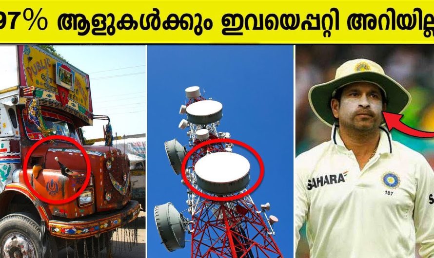 ലോറിക് എന്താ കൊമ്പോ ? ടവർ ൽ എന്തിനാ ഇത് ? മുഖത്തു വെള്ള തേക്കുന്നതുകൊണ്ടു എന്താ പ്രേയോജനം?