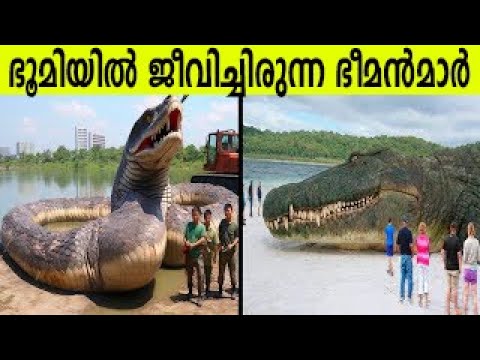 ഇന്ന് ഈ ഭൂമിയിൽ ഈ ഭീകരജീവികൾ ഇല്ല കാരണം