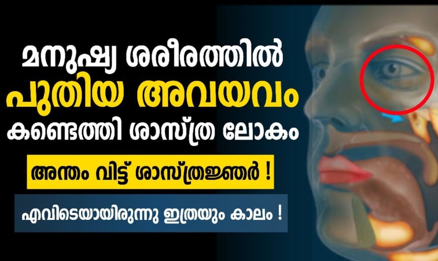 മനുഷ്യനിൽ പുതിയ അവയവം കണ്ടെത്തി ശാസ്ത്രം 😵 അറിയാതെ പോകരുത് 🚀🔥
