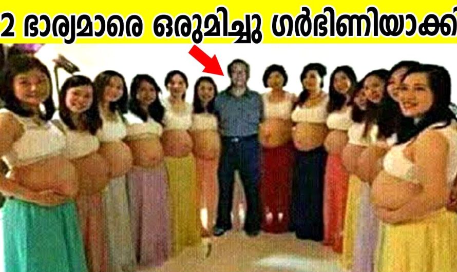 12 ഭാര്യമാരെ ഒരുമിച്ചു ഗർഭിണിയാക്കി ഗിന്നസ്‌ബുക്കിൽ കേറി
