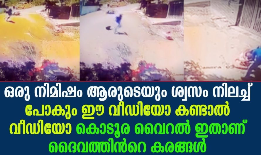 ഒരു നിമിഷം ആരുടെയും ശ്വസം നിലച്ച് പോകും ഈ വീഡിയോ കണ്ടാൽ !!!