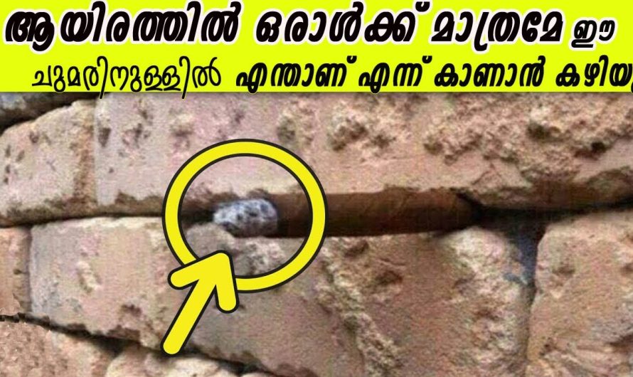 ആയിരത്തിൽ ഒരാൾക്ക് മാത്രമേ ഇത്‌ കാണാൻ കഴിയൂ