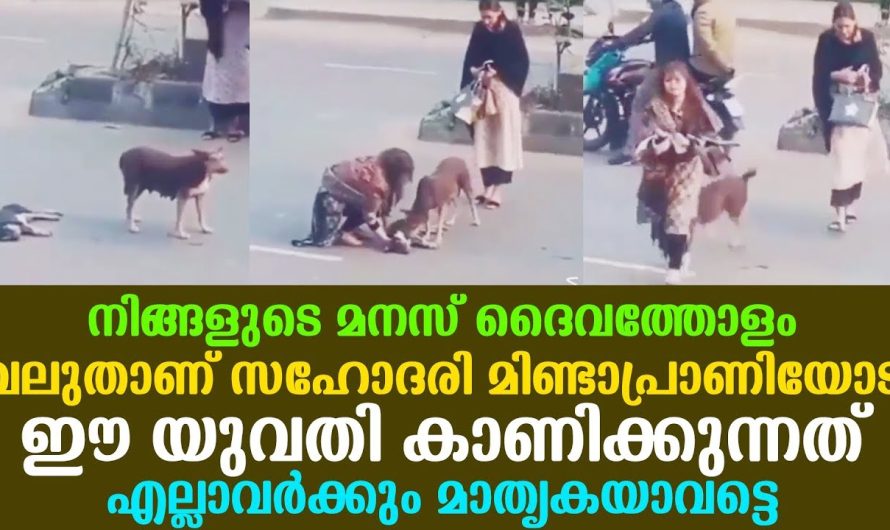 നിങ്ങളുടെ മനസ് ദൈവത്തോളം വലുതാണ് സഹോദരി