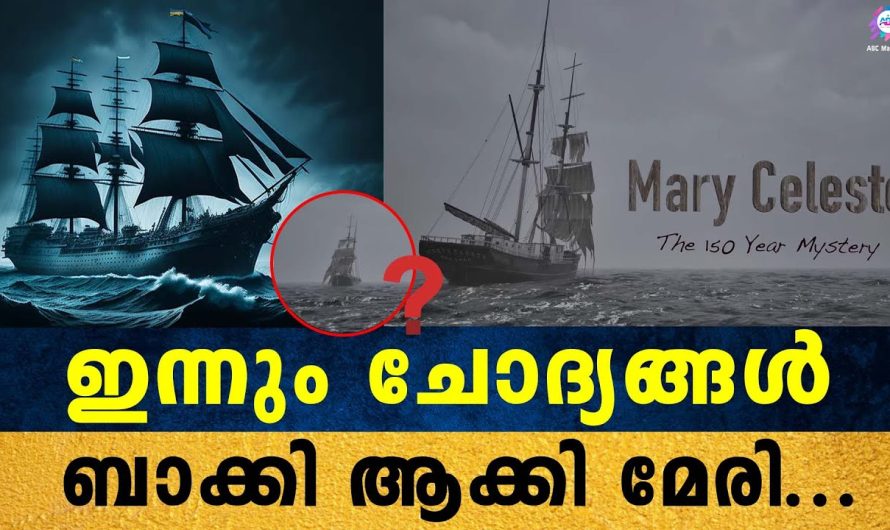 കപ്പലിൽ കണ്ട കാഴ്ചകൾ ഞെട്ടിക്കുന്നത്