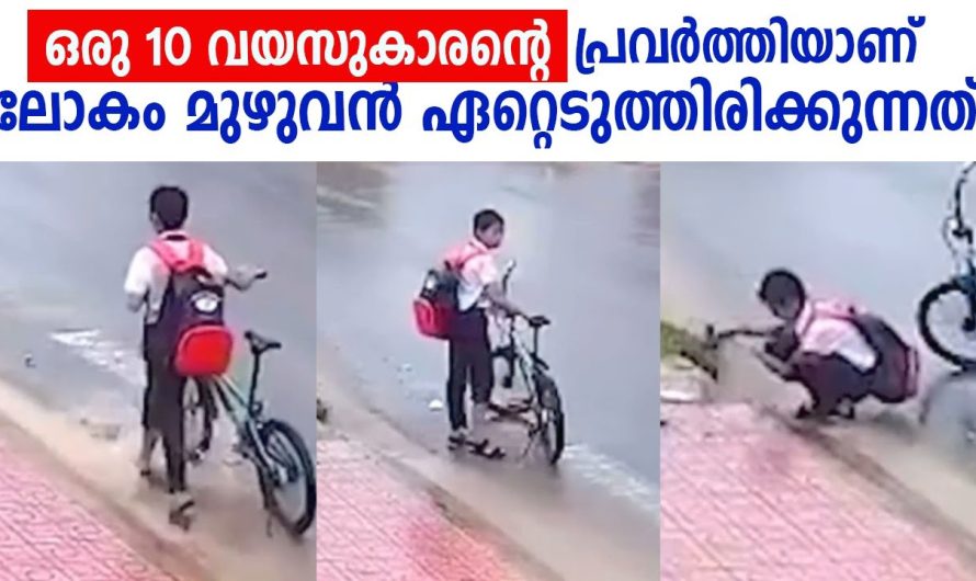 ഇതിനൊക്കെ ലൈക്ക് അടിച്ചില്ലങ്കിൽ നിങ്ങൾ മനുഷ്യരല്ല !!