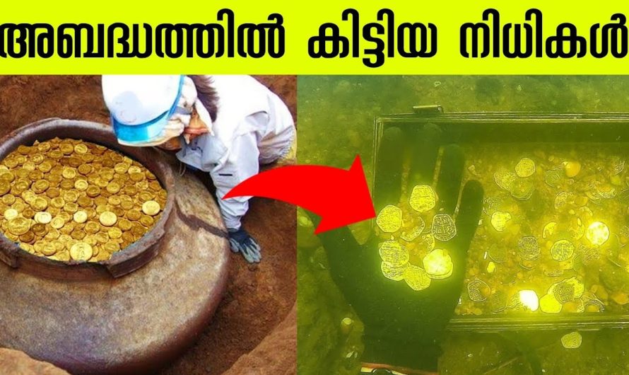അബദ്ധത്തിൽ കിട്ടിയ നിധികൾ