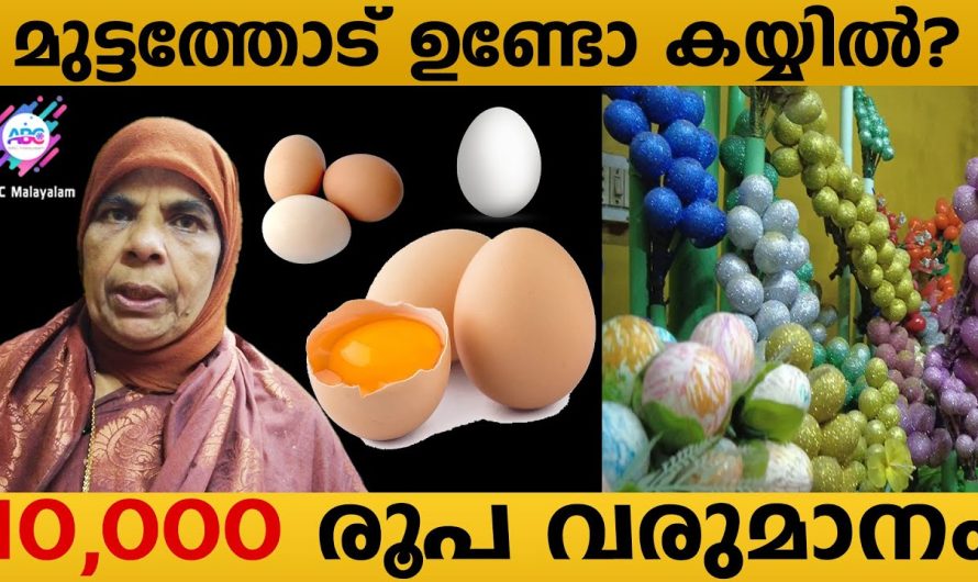 മുട്ടത്തോട് ഉപയോഗിച്ച് ലാഭത്തിൽ വരുമാനം ഉണ്ടാക്കുന്ന വീട്ടമ്മ