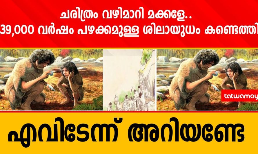 ചരിത്രം വഴിമാറി മക്കളേ..1,39,000 വർഷം പഴക്കമുള്ള ശിലായുധം കണ്ടെത്തി