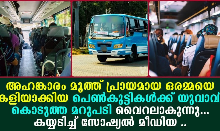 അഹങ്കാരം മൂത്ത് ഒരമ്മയെ കളിയാക്കിയ പെൺകുട്ടികൾക്ക് യുവാവ് കൊടുത്ത മറുപടി കണ്ടോ !!!